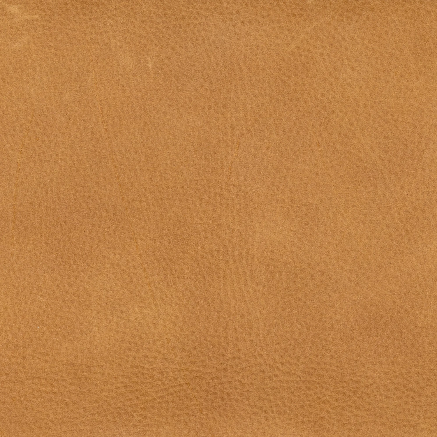 Sem Dining Chair - Image 8