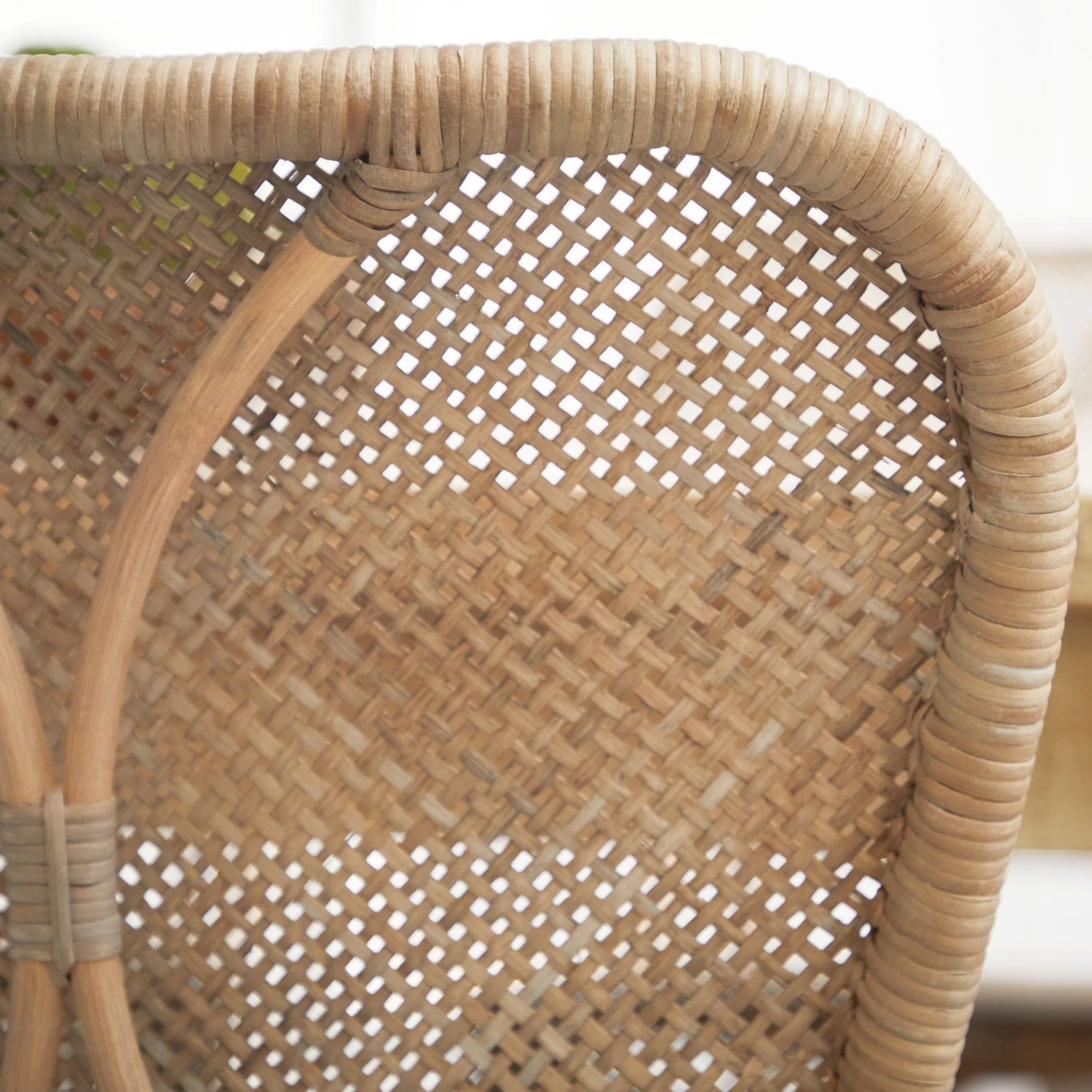 Palm Dining Chair, Set Of 2 - Image 5