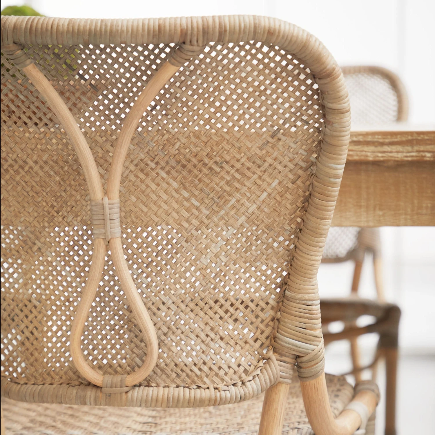 Palm Dining Chair, Set Of 2 - Image 2